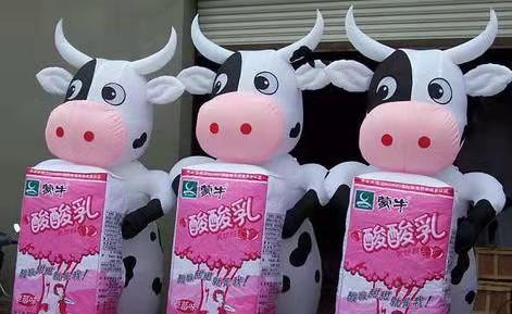 景德镇牛奶厂广告气模